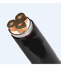 Cáp ngầm trung thế 24kV CXV/Sehh/DSTA